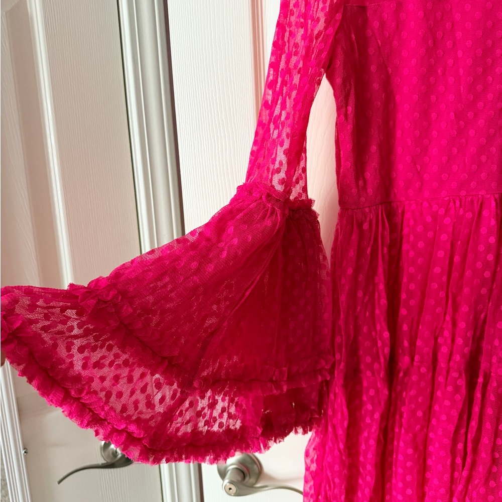 Lace & Beads Ruffle Dress - Picture 5 of 7